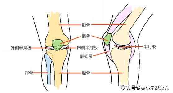 右下肢毁损伤是什么病及其原因、后遗症解释