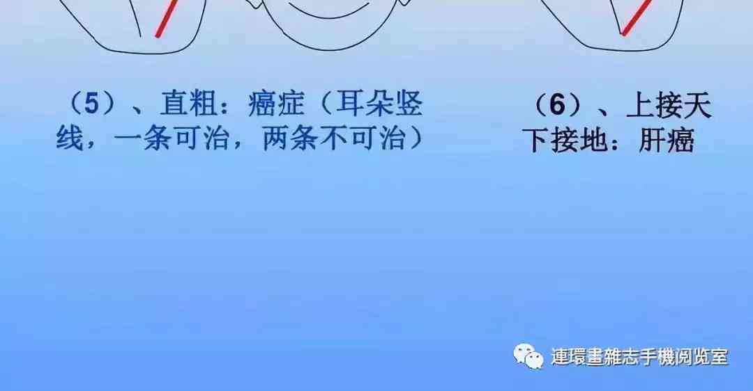 '右手手背的秘密：探寻肌肤纹理背后的故事'