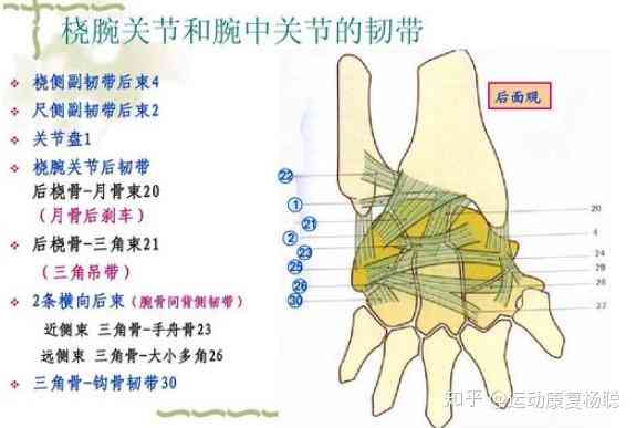 右腕关节损伤：深入解析右手腕关节损伤原因与复策略