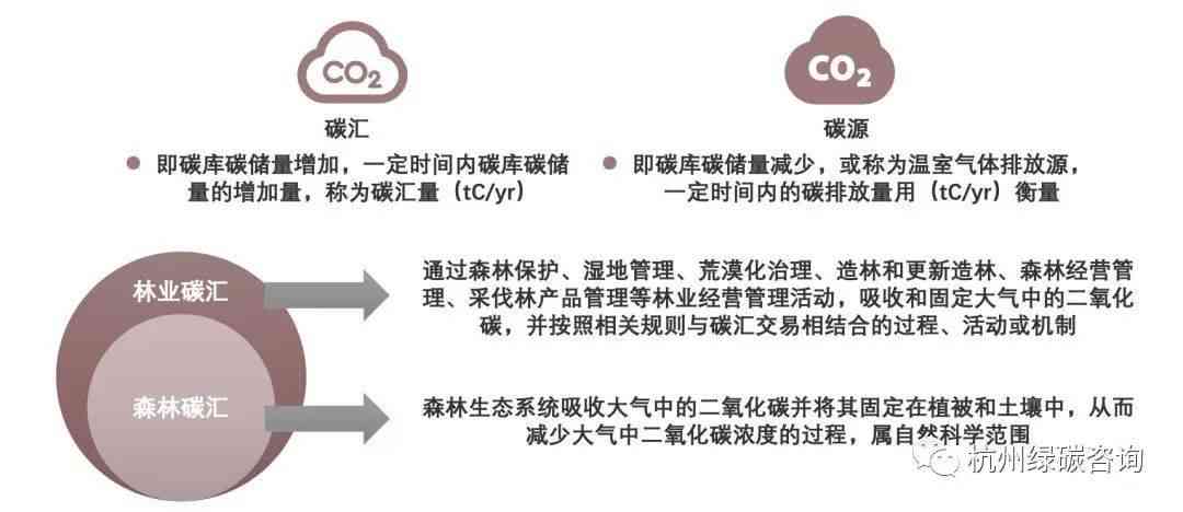 碳汇农场AI分析报告怎么写——详尽撰写指南与步骤解析