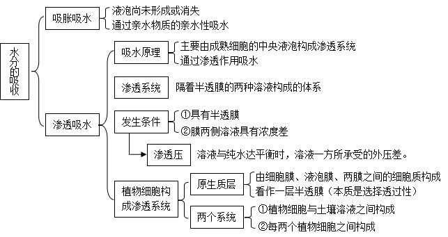 听力37分正常吗：探讨37分听力是否达标及其意义