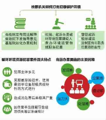 呆傻人员犯罪：处理方法、案例分析及精神状态界定