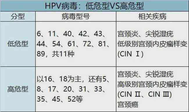 宫颈AI智能筛查解析：HPV与TCT报告单快速解读指南