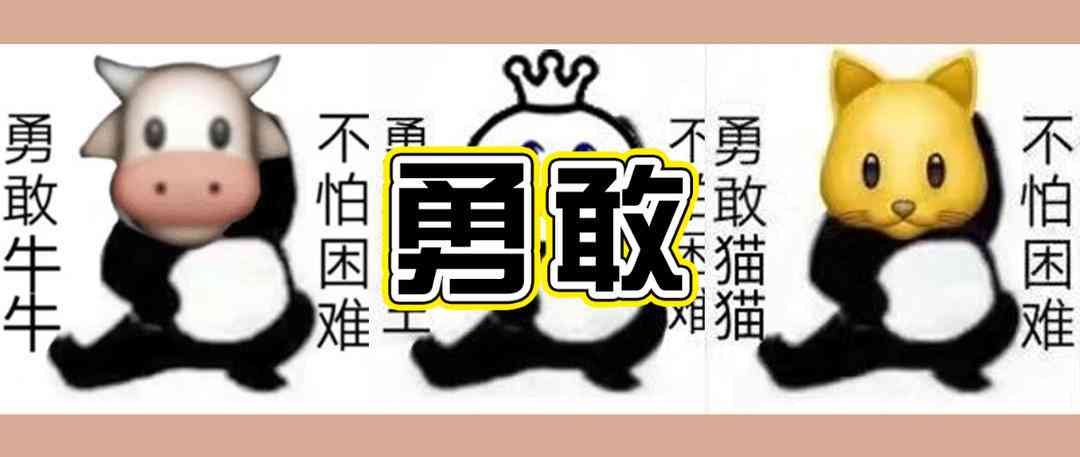 全方位猫咪文案攻略：抖音热门猫咪内容创作指南与吸粉秘