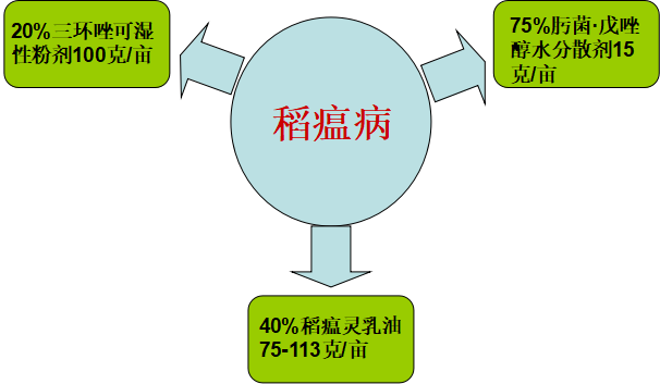 如何识别和管理具有倾向的员工：预防策略与应对措