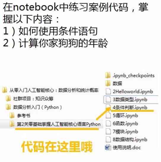 AI软件零基础入门：掌握核心功能、实战案例解析与高效应用技巧