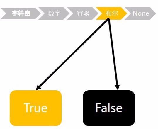 AI软件零基础入门：掌握核心功能、实战案例解析与高效应用技巧