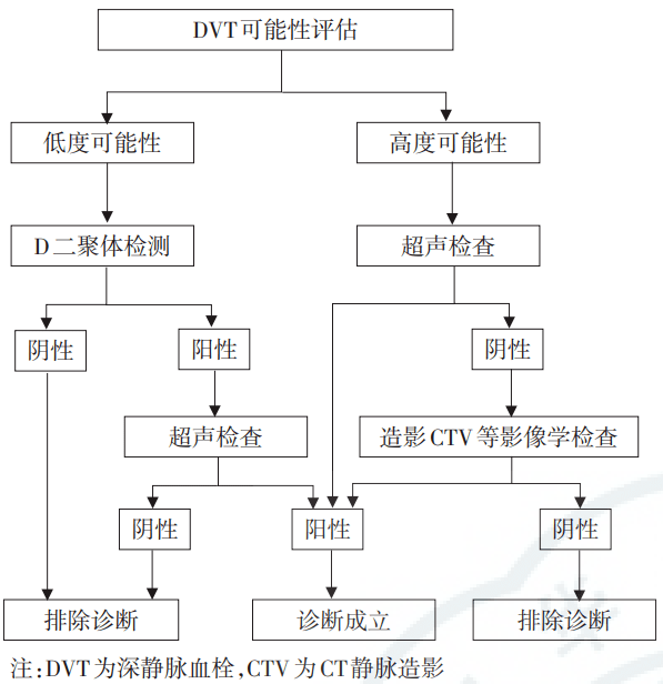 彩色多普勒超声检查报告：AC分析与解读