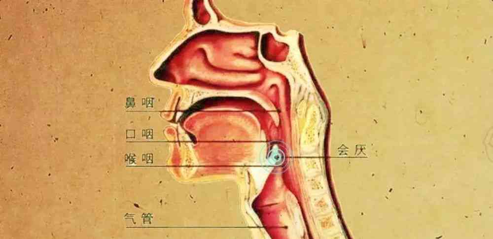 咽喉息肉是否能够自愈及治疗方法的全面解析