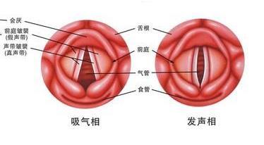 咽喉息肉是否能够自愈及治疗方法的全面解析