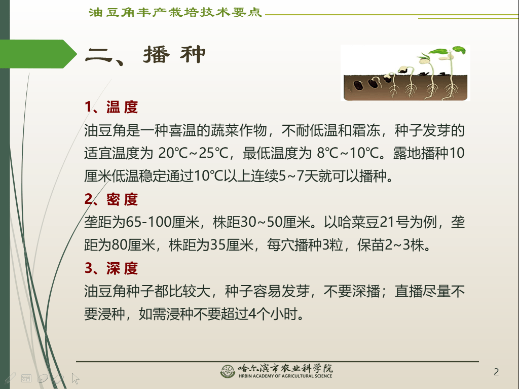 全方位提升写作技能：从基础训练到高级技巧的全面指南