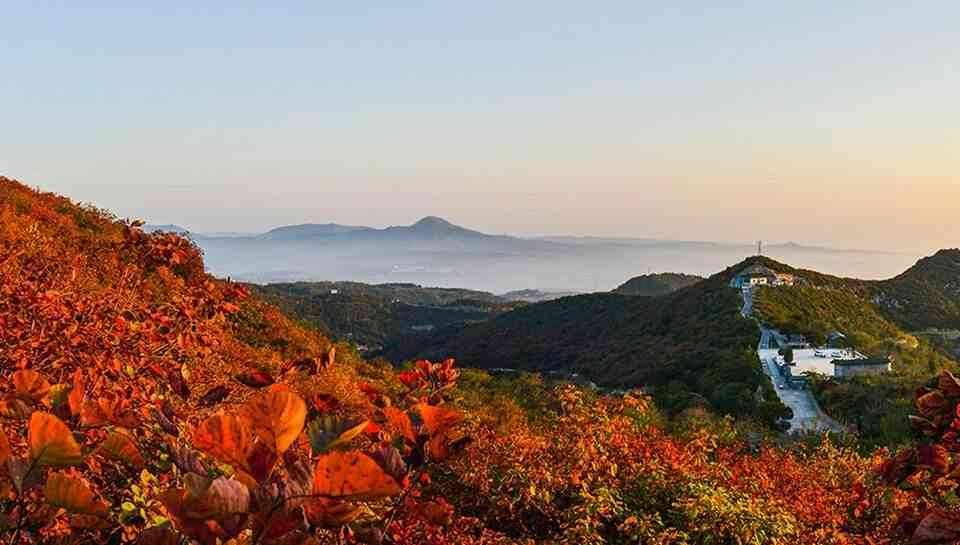 城网红打卡地：热门公园全景攻略与必游景点指南