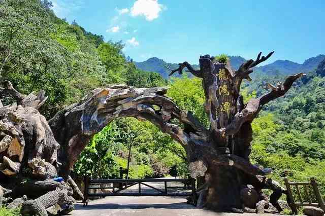 城网红打卡地：热门公园全景攻略与必游景点指南