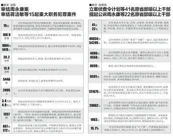 两高工作报告案例：实名分析、范文分享与经典案例解读