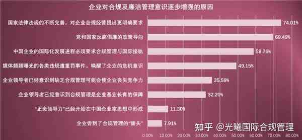 全方位合规性分析报告：深入解读监管政策与实际案例分析