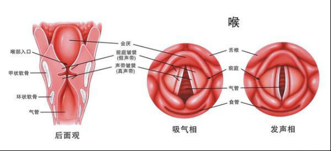 嗓音受损：探讨嗓子哑能否被认定为工伤事故