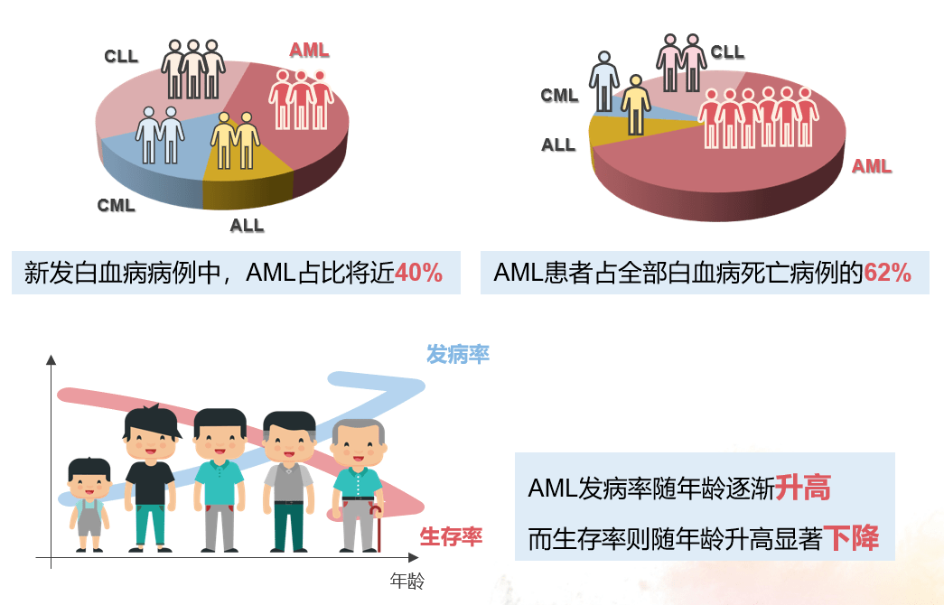 嗜血综合症：患者生存期与治疗预后解析