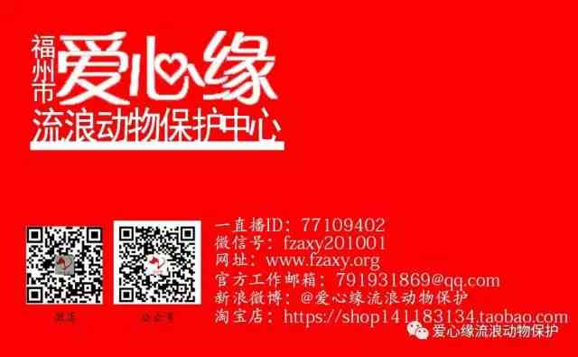 AI爱心号文案集锦：全面收录创意表白、福与情感表达文案