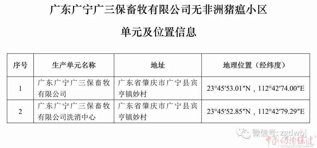 全面解读：因公外出期间工伤认定标准与实际案例分析