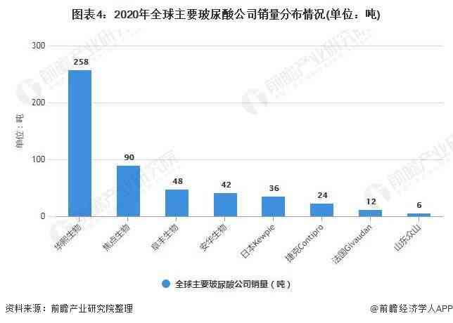 2021年战略：全球布局、政策解析与未来展望