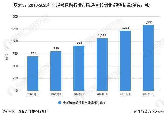 2021年战略：全球布局、政策解析与未来展望