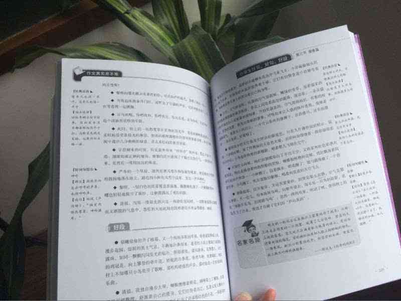 'AI智能写作：无次数限制，字数自由，高效创作新篇章'