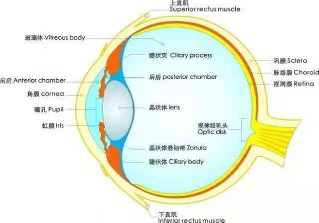 圆锥角膜可以认定工伤吗