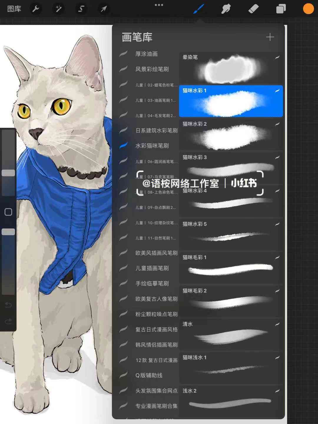 猫咪绘画助手：创意猫绘软件体验