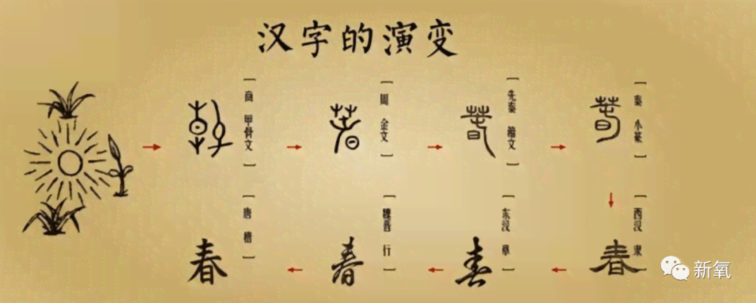 文字奇观：探索汉字的另类魅力