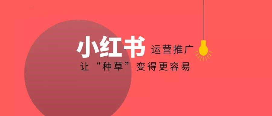 揭秘小红书爆款文案：那些最火的金句与热榜秘诀