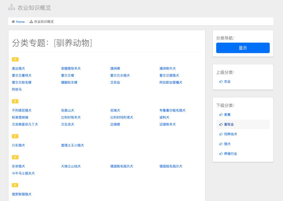 智能AI文案生成器：GitHub开源项目全新发布