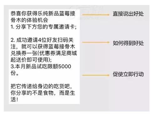 全面攻略：英文招生文案撰写技巧与优化策略