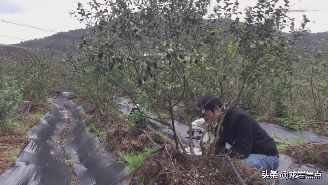 掌握秘诀：如何用关键词打造吸引眼球的科普文案撰写攻略