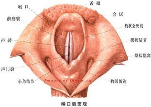 声带结节治疗方式详探：手术疗法与非手术疗法全面解析