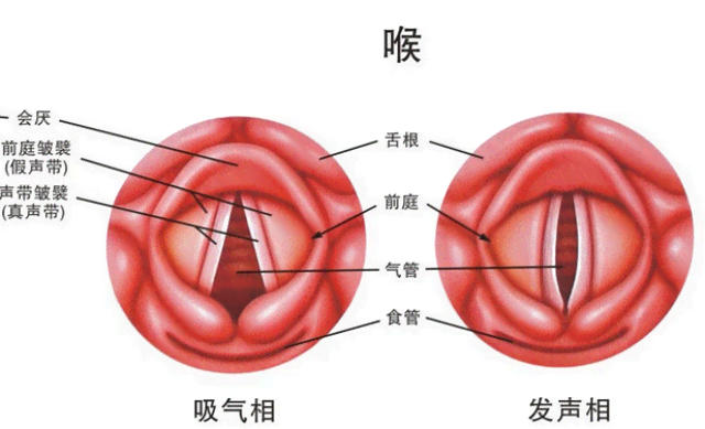 声带结节治疗方式详探：手术疗法与非手术疗法全面解析