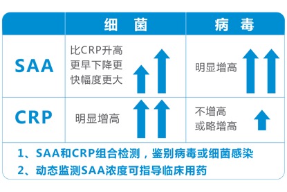 基于大数据分析的AI论文写作技巧与实证研究