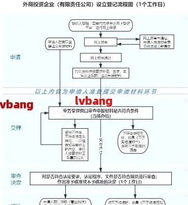 外资公司认定标准及流程：全面解析认定条件、优政策与实操指南