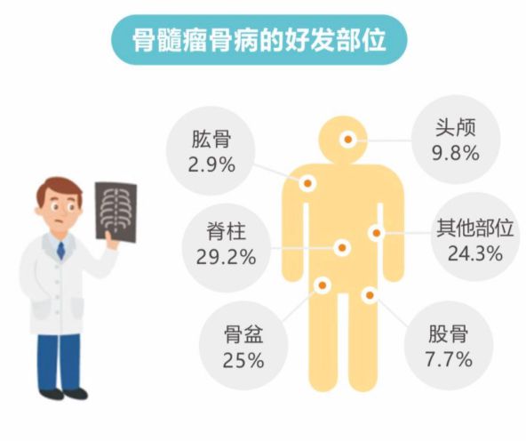 多发性骨髓瘤患者职场适应与工作能力探讨