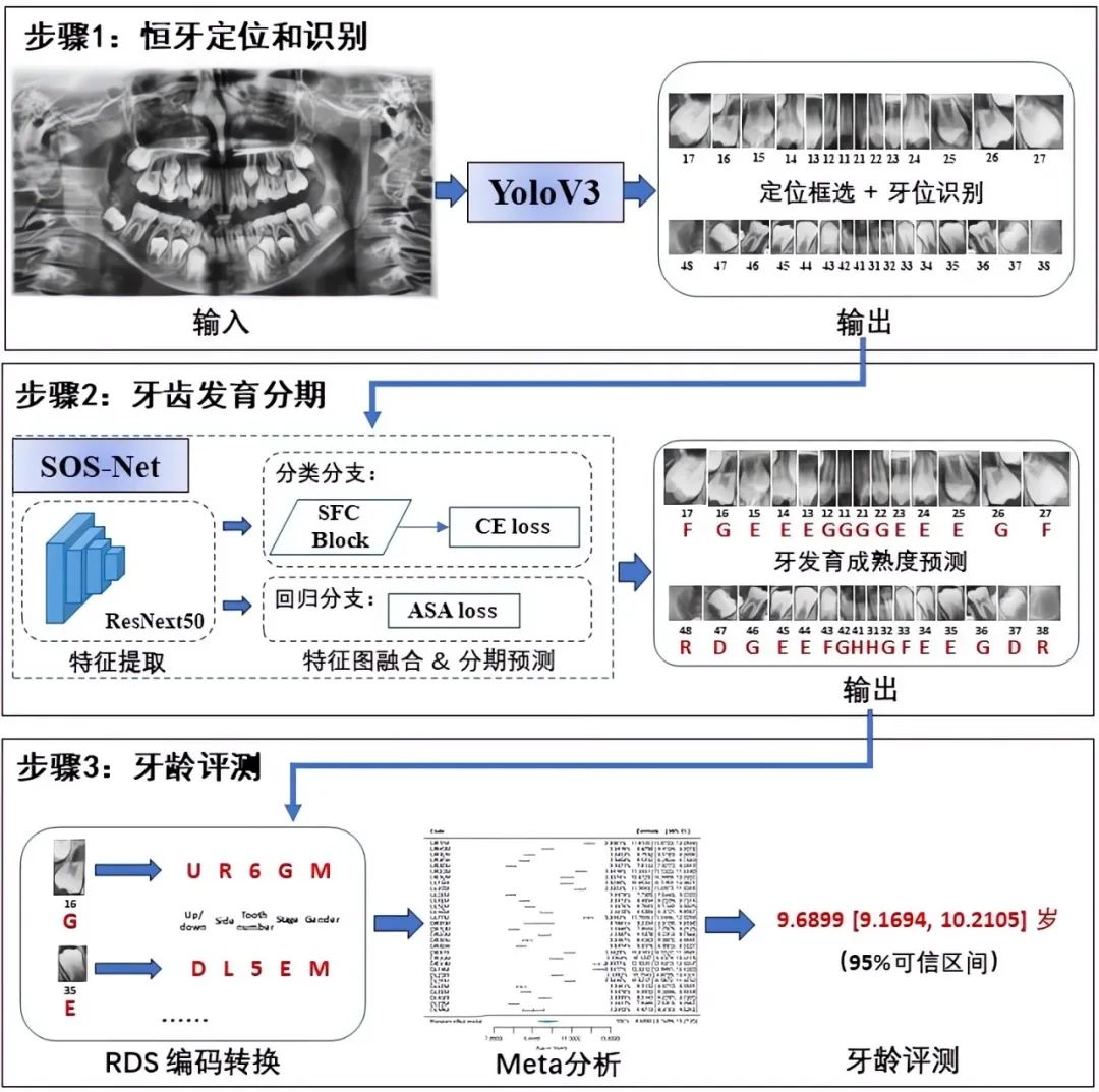 智能牙齿诊断与分析软件：AI驱动的全方位口腔健报告工具