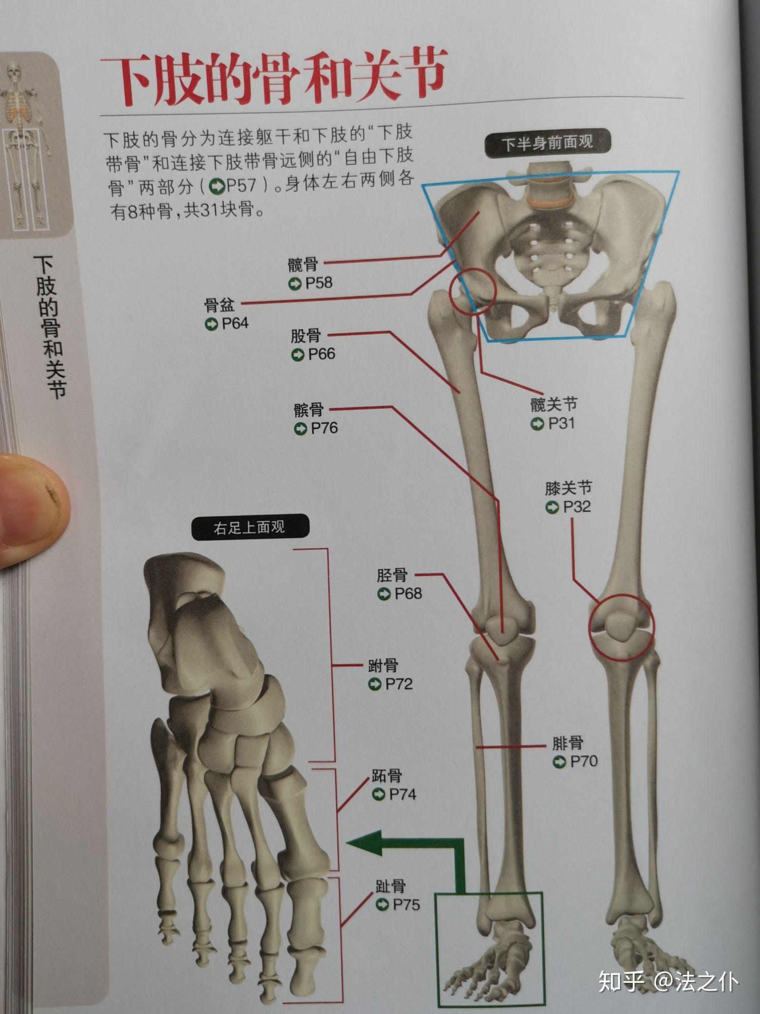 关节脱位是否构成伤残等级判定标准解析