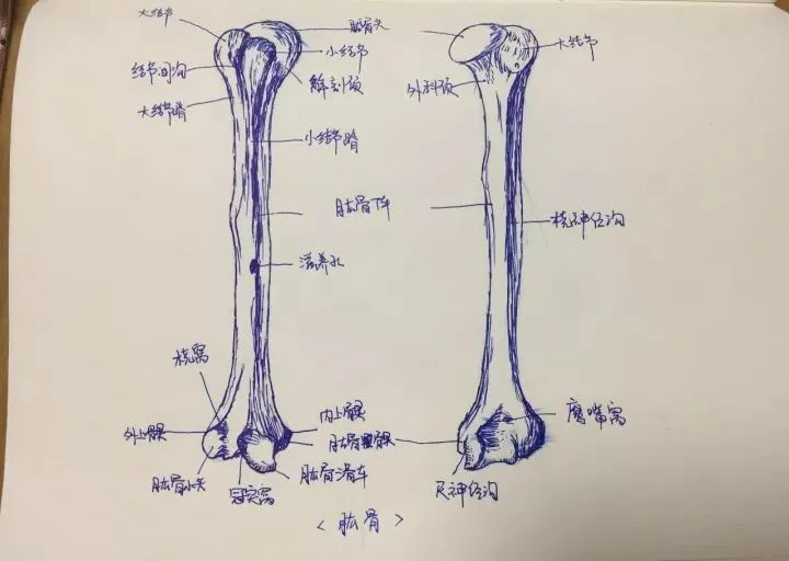 关节脱位是否构成伤残等级判定标准解析