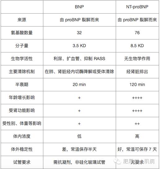 大腿缺失伤残等级划分及具体级别鉴定