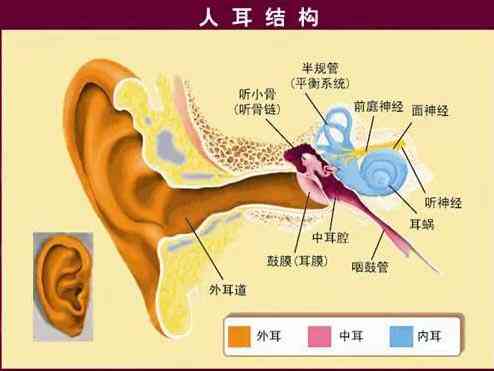 听力检测报告单nr：如何判断耳蜗问题及耳膜穿，解读数值含义