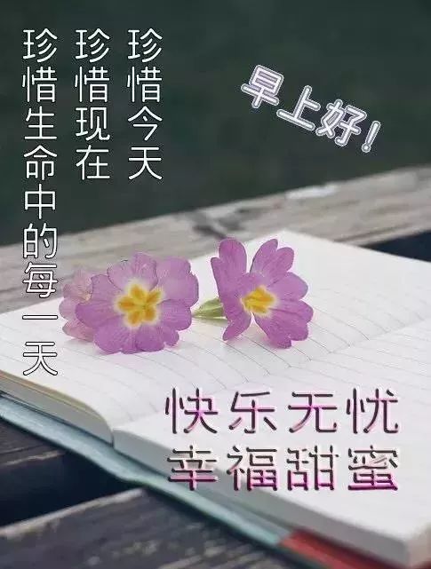 思床垫的朋友圈广告语合集：经典语句一览