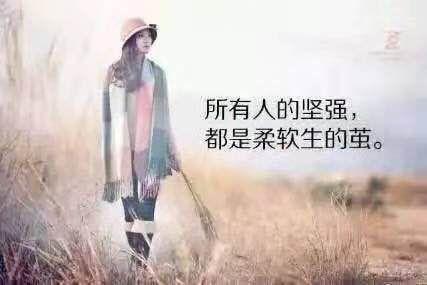 穿越重生：经典语录集结与心灵触动瞬间