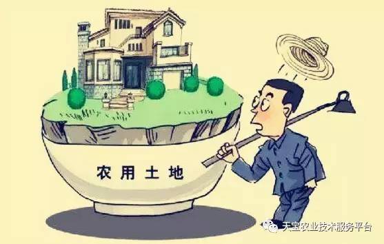 失地农民：失去土地是否等同于失业？