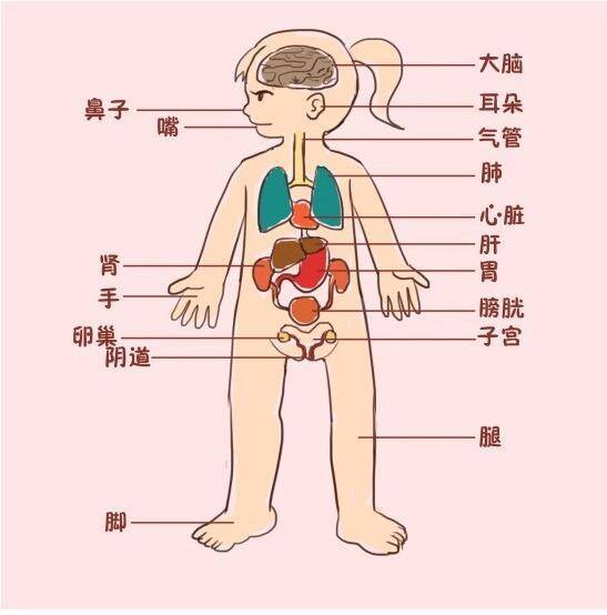 喜欢燕姿的男生和女生性格特点及性别倾向分析