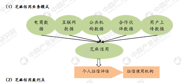 深度解析：蚂蚁金服商业模式、股权架构与全球化战略案例分析报告