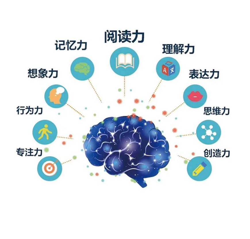 智慧核心——大脑功能与信息官网