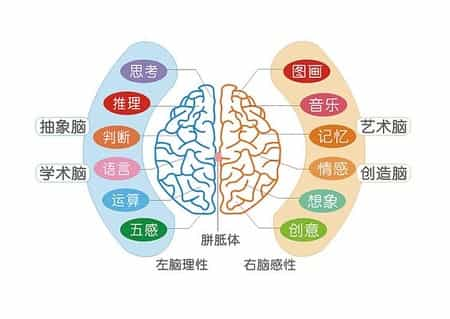 全脑潜能激活：大脑训练，提升记忆力、专注力与创造力